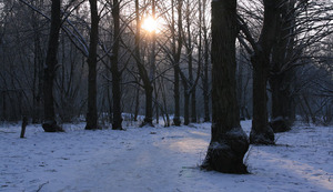 Фотография. Зимний закат. 